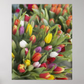 Bunken van kleurrijke tulpen poster (Voorkant)