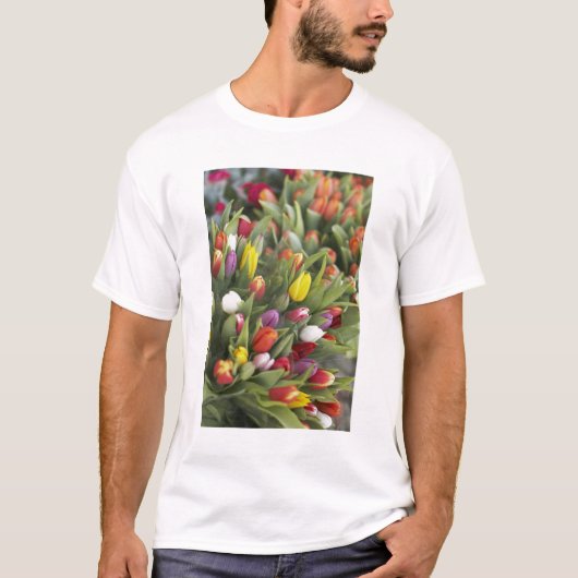 Bunken van kleurrijke tulpen t-shirt (Voorkant)