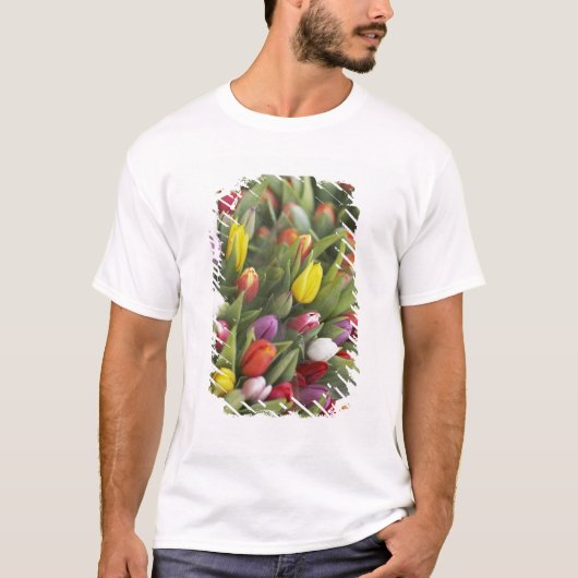 Bunken van kleurrijke tulpen t-shirt (Voorkant)