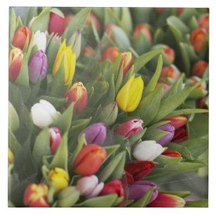 Bunken van kleurrijke tulpen tegeltje