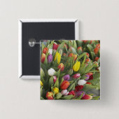 Bunken van kleurrijke tulpen vierkante button 5,1 cm (Voorkant /achterkant)