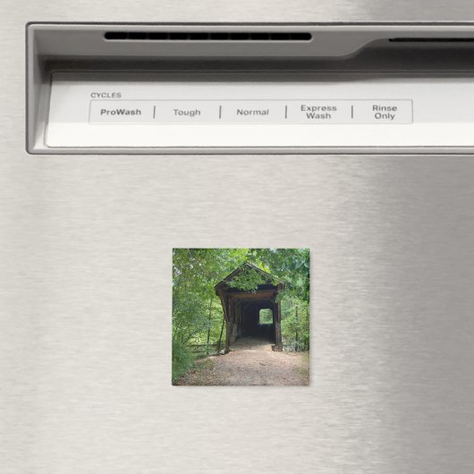 Bunker Hill overdekte brug Magneet (Insitu (Vaatwasser))