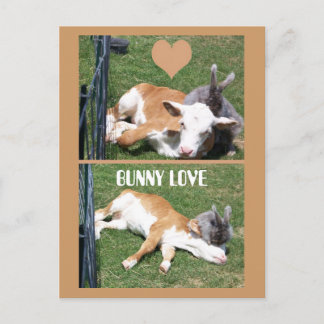 BUNNIE LOVES CALF BRIEFKAART