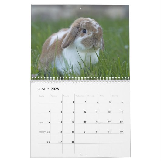 Bunnies 2016 - 12 maanden Cute Bunny Rabbits Kalender (Jun 2026)