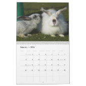 Bunnies 2016 - 12 maanden Cute Bunny Rabbits Kalender (Feb 2026)