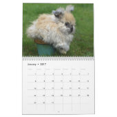 Bunnies 2016 - 12 maanden Cute Bunny Rabbits Kalender (Jan 2017)