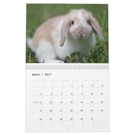 Bunnies 2016 - 12 maanden Cute Bunny Rabbits Kalender (Mar 2017)