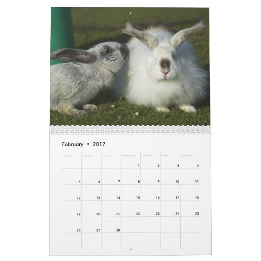 Bunnies 2016 - 12 maanden Cute Bunny Rabbits Kalender (Feb 2017)