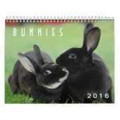 Bunnies 2016 - 12 maanden Cute Bunny Rabbits Kalender (Hoes)