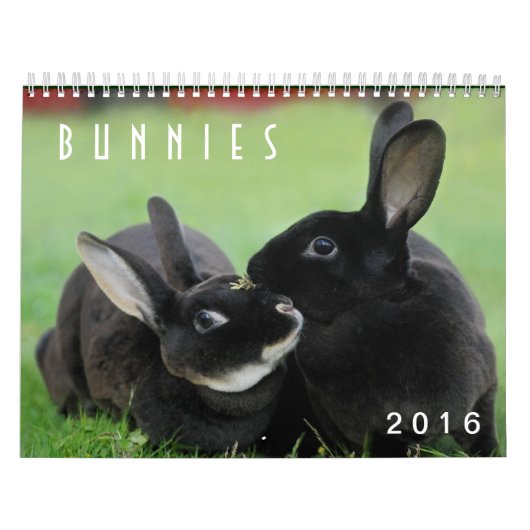 Bunnies 2016 - 12 maanden Cute Bunny Rabbits Kalender (Hoes)