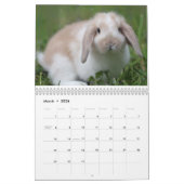 Bunnies 2018 - 12 maanden Cute Bunny Rabbits Kalender (Mar 2026)