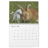 Bunnies 2018 - 12 maanden Cute Bunny Rabbits Kalender (Feb 2026)