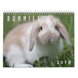 Bunnies 2018 - 12 maanden Cute Bunny Rabbits Kalender