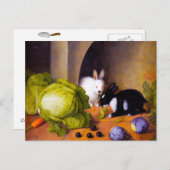 Bunnies Briefkaart (Voorkant / Achterkant)