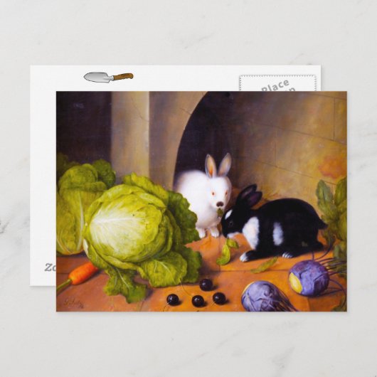 Bunnies Briefkaart (Voorkant / Achterkant)