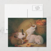 Bunnies Briefkaart (Voorkant / Achterkant)