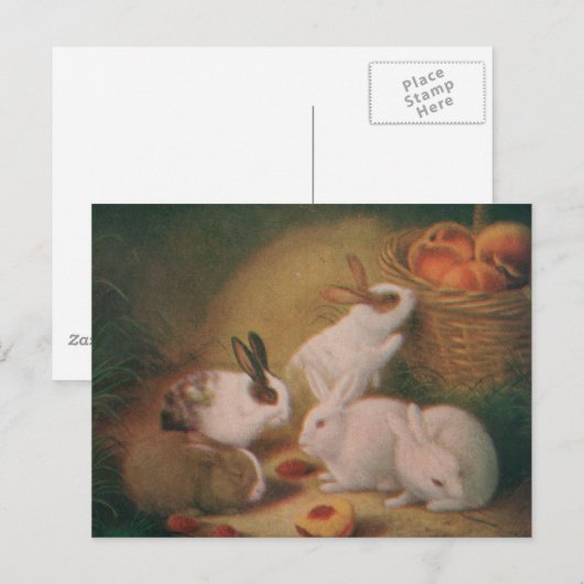 Bunnies Briefkaart (Voorkant / Achterkant)