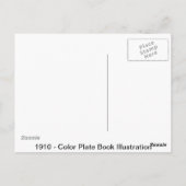 Bunnies Briefkaart (Achterkant)