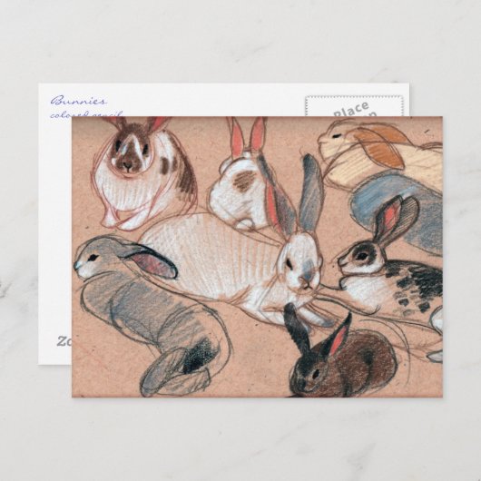 Bunnies Briefkaart (Voorkant / Achterkant)