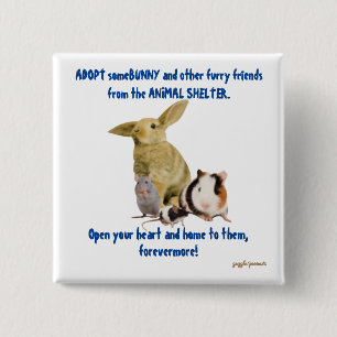 Bunnies en andere vage vrienden hebben liefhebbend vierkante button 5,1 cm