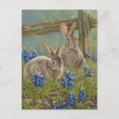 Bunnies en blauwbonnaars briefkaart (Voorkant)