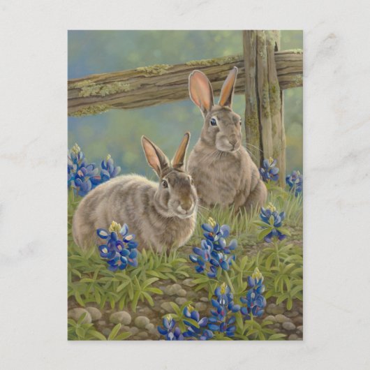 Bunnies en blauwbonnaars briefkaart (Voorkant)
