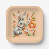 Bunnies en wortelen 6e verjaardagsfeest papieren bordje (Voorkant)