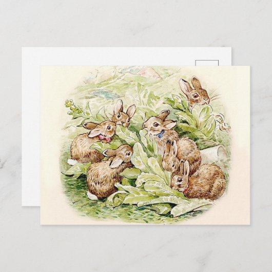 Bunnies in de sla Patch door Beatrix Potter Briefkaart (Voorkant / Achterkant)