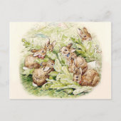 Bunnies in de sla Patch door Beatrix Potter Briefkaart (Voorkant)