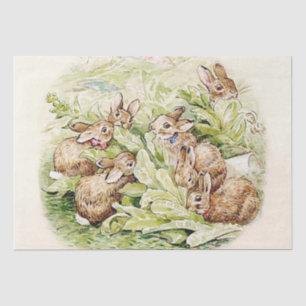 Bunnies in de sla Patch door Beatrix Potter Tissuepapier