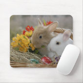 Bunnies in mandje muismat (Met muis)