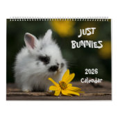Bunnies Large Wall Calendar Kalender (Hoes)