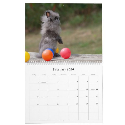 Bunnies Large Wall Calendar Kalender (Feb 2026)