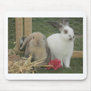 Bunnies Muismat