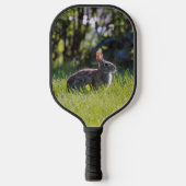 Bunnies Pickleball Paddle (Voorkant)