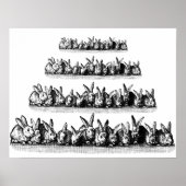 Bunnies Poster (Voorkant)