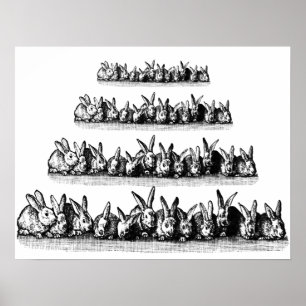 Bunnies Poster