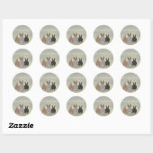 Bunnies Stickers (Vel)