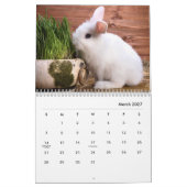 Bunnies Wall Calendar Kalender (Mar 2027)