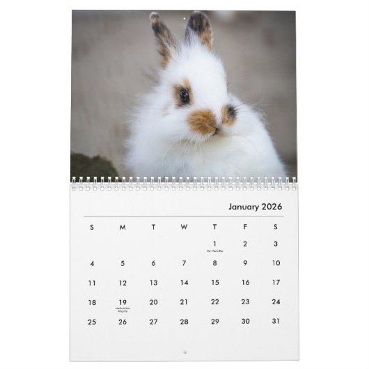 Bunnies Wall Calendar Kalender (Jan 2026)