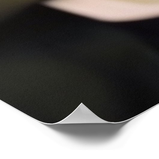 Bunnies, ze bluffen, wedden en stuiteren om te win poster (Hoek)