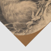 Bunnieslijfpapier Tissuepapier (Detail)