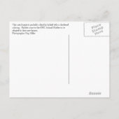 Bunny Aankondigingskaart (Achterkant)