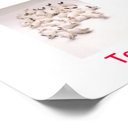 Bunny Adoption Today Sign Poster (Hoek)