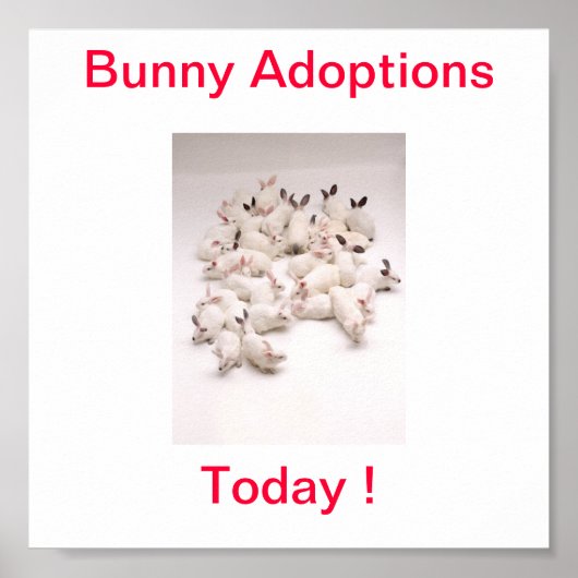 Bunny Adoption Today Sign Poster (Voorkant)