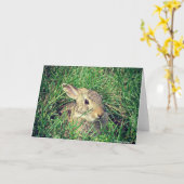 Bunny All Occasions Kaart (Gele Bloem)