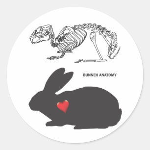 Bunny Anatomy Ronde Sticker