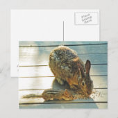 Bunny and Chipmunk Sharing Briefkaart (Voorkant / Achterkant)