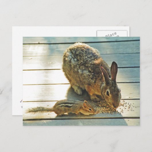 Bunny and Chipmunk Sharing Briefkaart (Voorkant / Achterkant)