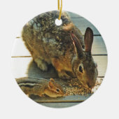 Bunny and Chipmunk Sharing Keramisch Ornament (Voorkant)
